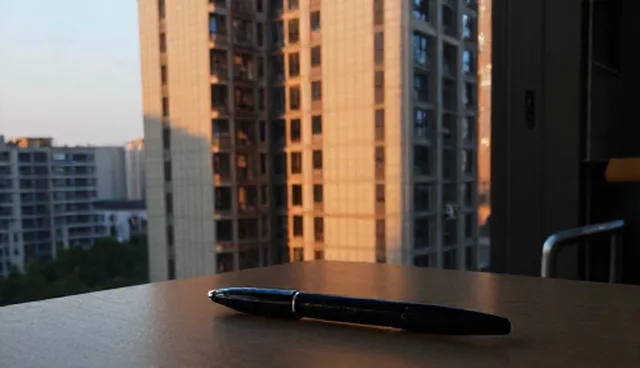 项目结果：技术开发在使用维护中的关键作用分析